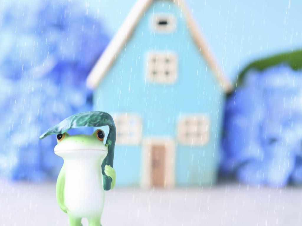雨の日サービス