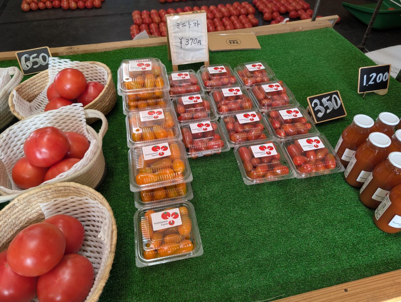 鶴ヶ島市】吉澤農園の2026年の販売がスタート。今年もおいしいトマトを