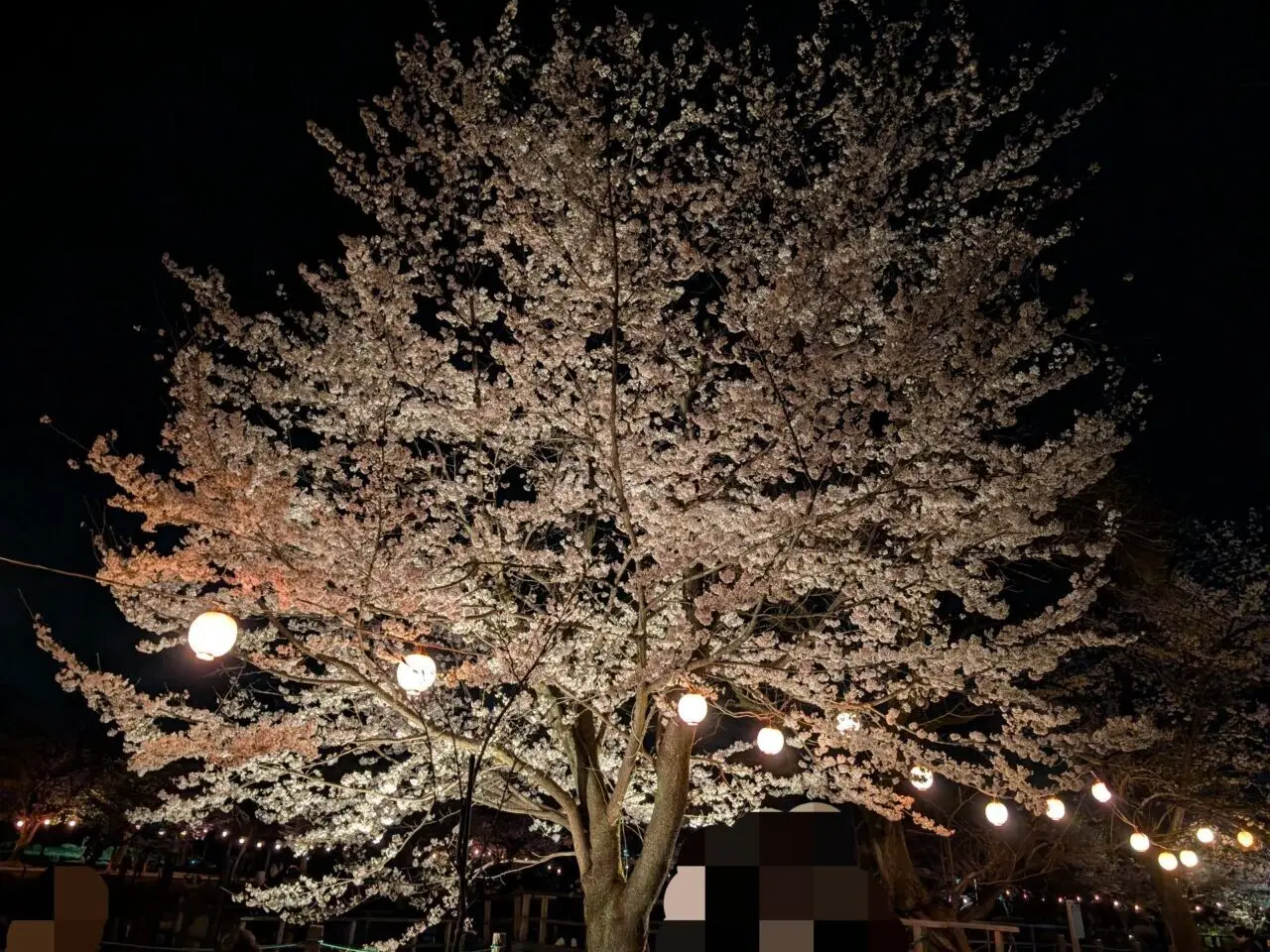 鶴ヶ島市運動公園 ライトアップ
