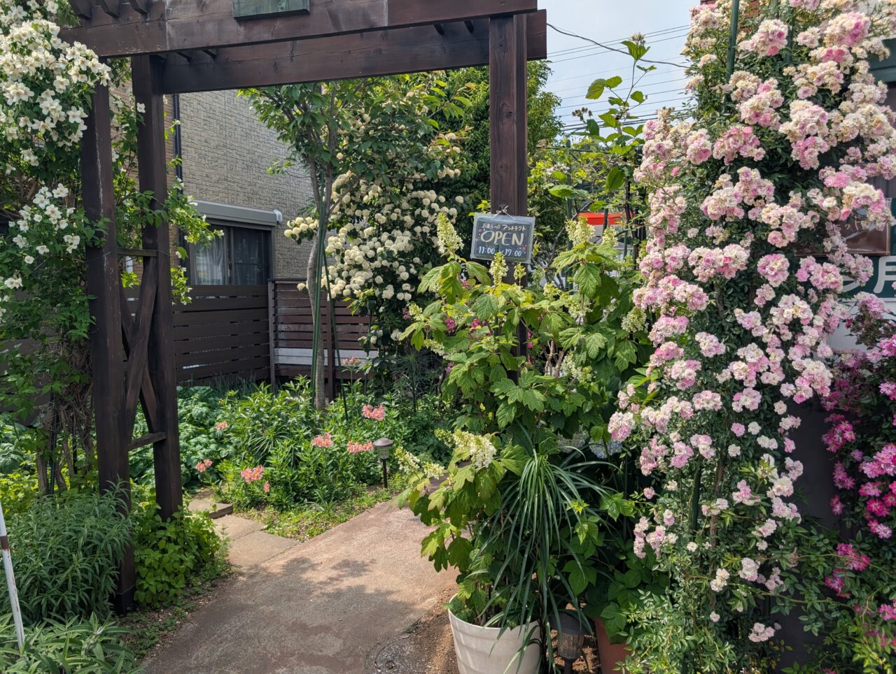 お菓子の店 アントラクト バラ